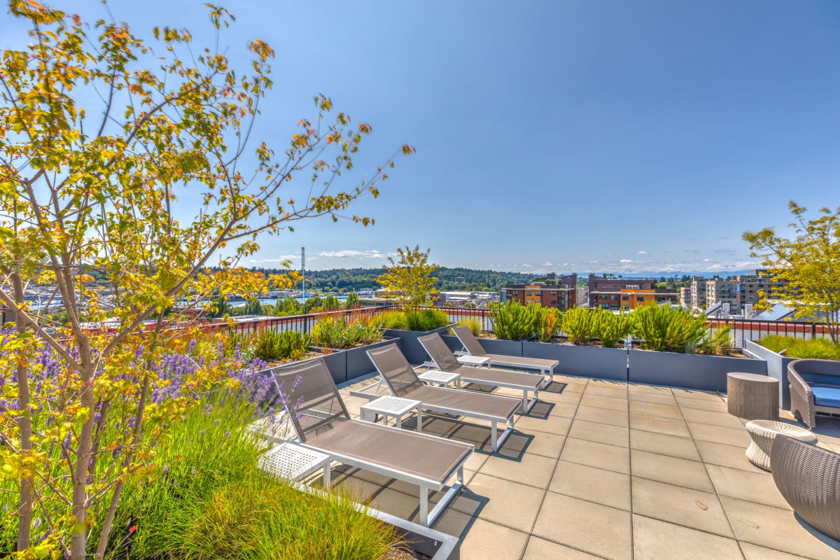 Apartments for Rent in Ballard The Wilcox Photo Gallery